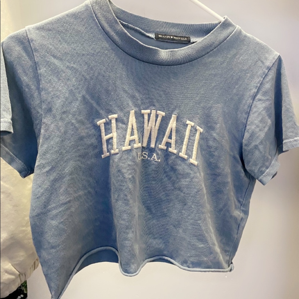 Cropped Hawaii Brandy Melville Shirt